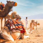 Niharika Konidela Instagram - Throwback!! #Wadirum