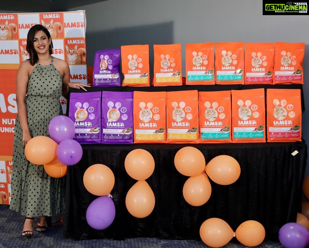 Niharika Konidela Instagram - Building on their purpose of making A Better World for Pets, IAMS India yesterday launched its Premium Catfood range in Hyderabad. It was honor for me to be a part of this special event! The IAMS cat food is developed in association with veterinarians and is tailor-made to fulfill the nutritional requirements for both – kittens and adult cats, including new mothers. These new variants help in developing a healthy natural defense with the ingredients scientifically proven to help increase the level of Vitamin E in your cat. Buy Now and See The WOW @iams_india #IAMS #IAMSWhoIAm #TailoredNutrition #UniqueBest #CatFood #NewLaunch #LaunchAlert #CatHealth #Cat #Cats #Kitty #CatLife #HealthyCat #Catstagram #CatsOfInstagram #CatLove #CatCare #CatFriend