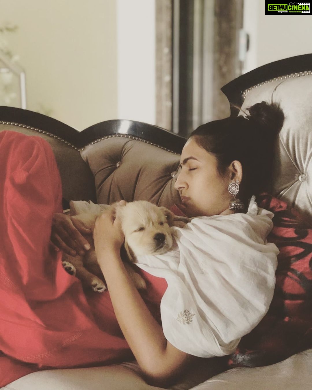 Niharika Konidela Instagram - Isn’t this really all we need? Pups and sleep! #throwbackthursday