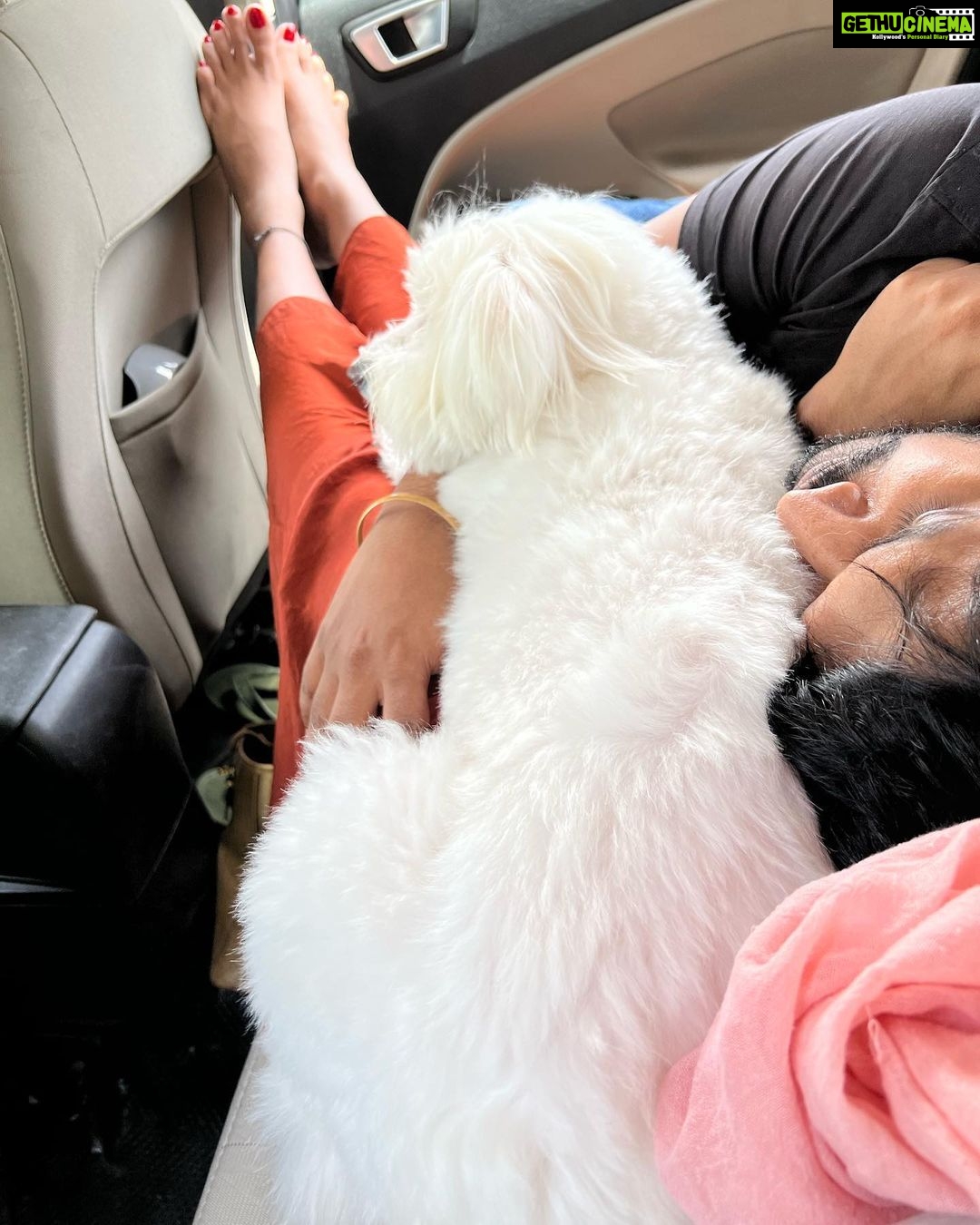 Niranjani Ahathian Instagram - Happiest birthday to Our bundle of joyโฆ We have to find words to say how much we both love youโฆ your are precious Pekko pappa .. we feel so lucky to wake up with that sloppy and a wet nose ๐๐๐ every dayโฆ you make our heart Smile you complete us โฆWish you many many many many more happy returns of the day my teddy ๐๐๐๐ hugsssssssssss Lots n lotssss of love from appa &amma. @desinghperiyasamy
