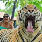Niranjani Ahathian Instagram - Roar 🐯
