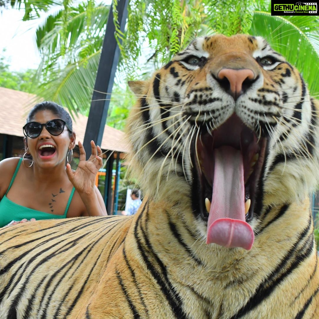 Niranjani Ahathian Instagram - Roar 🐯