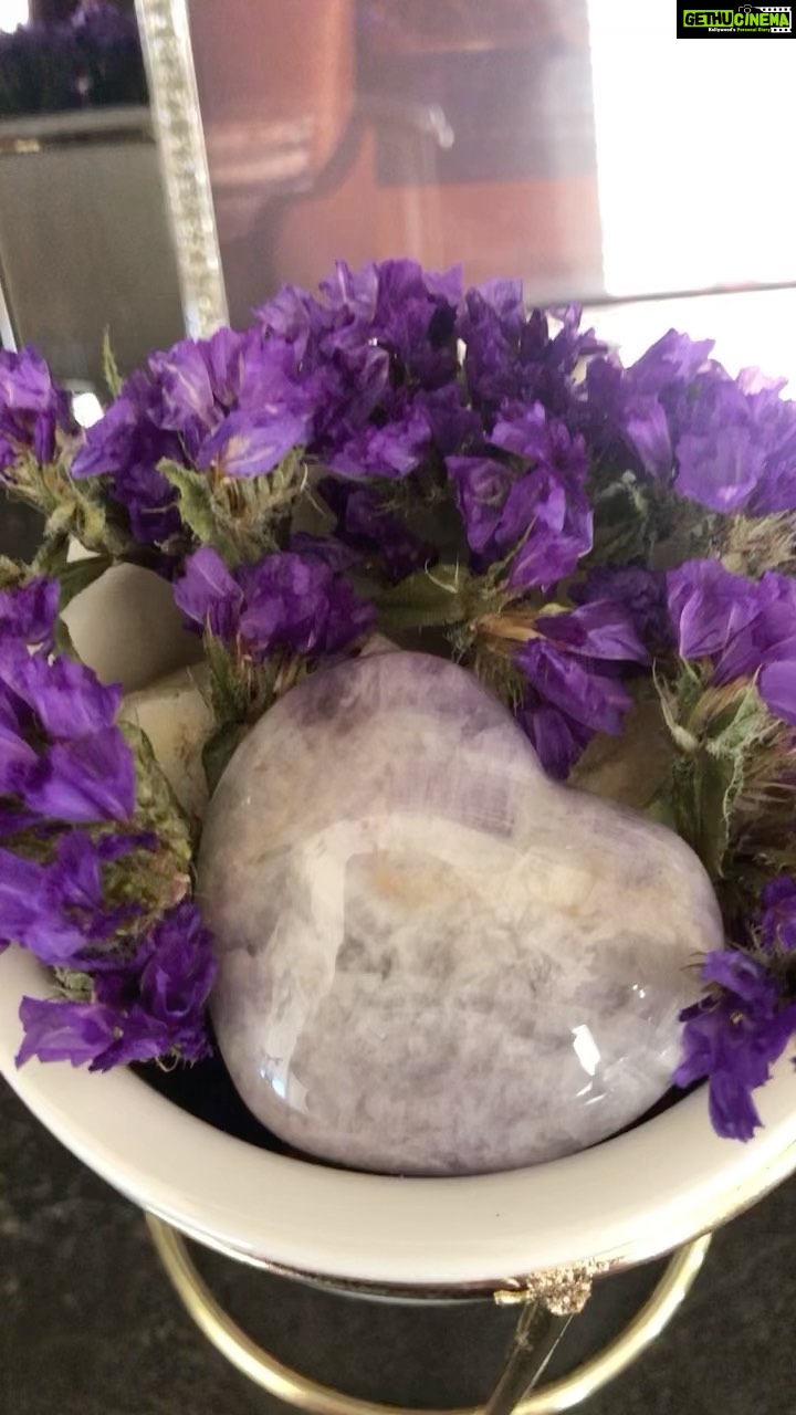 Panchi Bora Instagram - ❤️ #amethyst #dryflower #❤