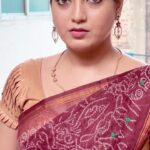 Papri Ghosh Instagram - #paprighosh #suntv #serial #actress #tamil #comedy #dialogue #pandavarillam #kayal #saree @queenz_collectionz