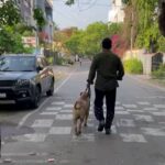 R. Sarathkumar Instagram – Sunday morning walk with Thor, handling him is equal to an hour of cardio #sunday #petlovers #walkwalkwalk #healthylifestyle