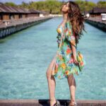 Raai Laxmi Instagram - 🌸🌼🌸🌼🌸