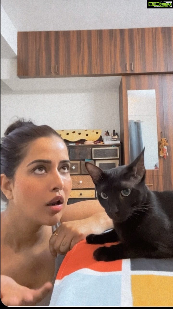 Raiza Wilson Instagram - When you wanna talk to someone but you don’t wanna leave the house 🥂