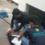 Rashmi Gautam Instagram - Pls listen to the audio carefully @pridhvipanneeru was out there to help this poor dog who got his head stuck into a plastic bottle and eventually would have died out of starvation if not removed But this great uncle in the background whose voice you can clearly hear did not want all this happening in his vicinity I'll be putting up the whole video so one understands what it takes to catch a dog in distress and help The least you can do is inform animal rescue party and let them do there job Unlike this uncle in the background The voiceless are our responsibility Let's keep them safe #adoptdontshop🐾 @scoobies_pet_services @panneeruteja