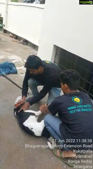 Rashmi Gautam Instagram - Pls listen to the audio carefully @pridhvipanneeru was out there to help this poor dog who got his head stuck into a plastic bottle and eventually would have died out of starvation if not removed But this great uncle in the background whose voice you can clearly hear did not want all this happening in his vicinity I'll be putting up the whole video so one understands what it takes to catch a dog in distress and help The least you can do is inform animal rescue party and let them do there job Unlike this uncle in the background The voiceless are our responsibility Let's keep them safe #adoptdontshop🐾 @scoobies_pet_services @panneeruteja