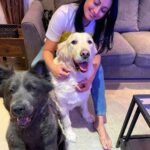Reenu Mathews Instagram – Any guesses on what we three are eagerly waiting for? 😋😋
.
.
#doglover 
#dogsofinstagram 
#petlovers 
#dogsarefamily