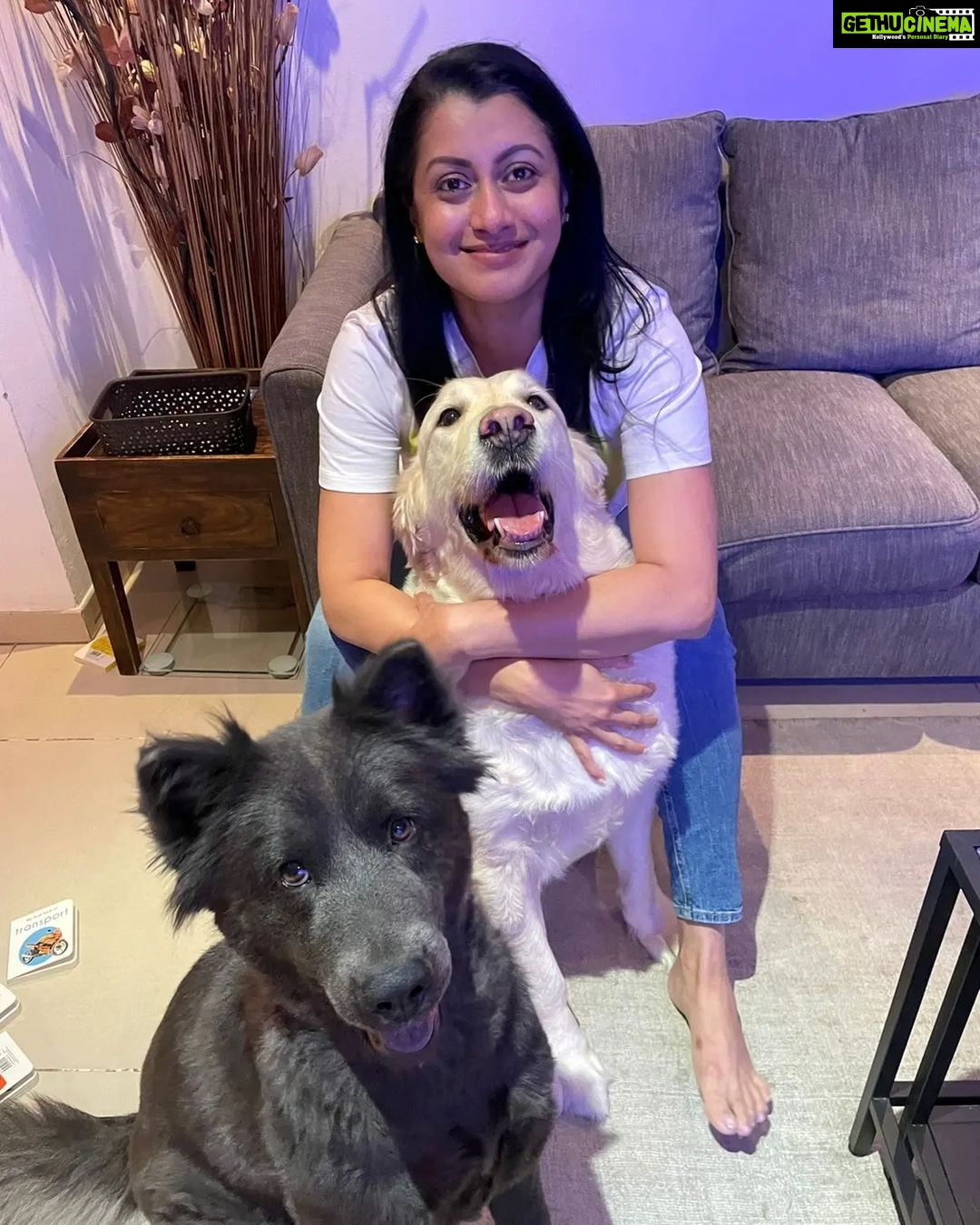 Reenu Mathews Instagram - Any guesses on what we three are eagerly waiting for? 😋😋 . . #doglover #dogsofinstagram #petlovers #dogsarefamily