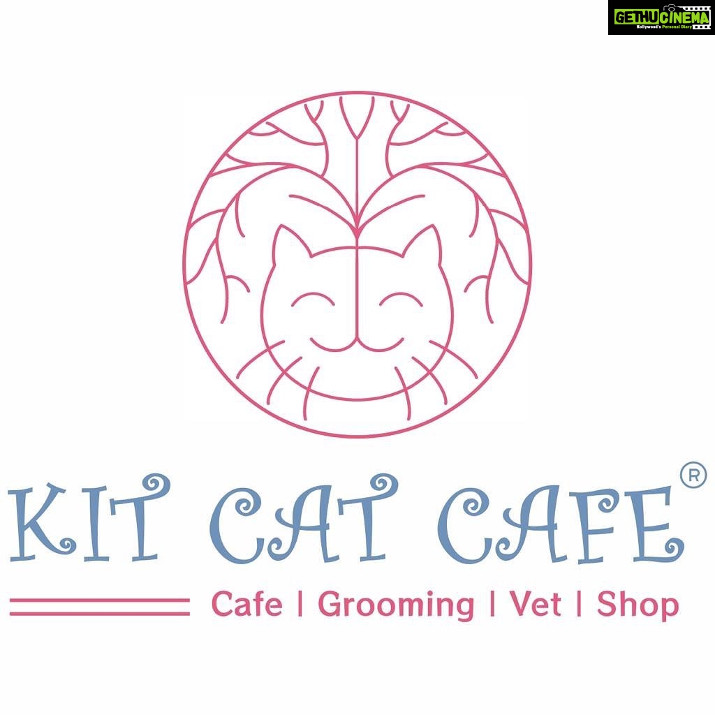 Richa Panai Instagram - Hey guys .. I am super thrilled to share the logo of my dream project! A complete cat destination for all the Mumbai cat parents and cat lovers!!πIts coming this month at JP Road , Versova! Canβt wait to welcome you all to our cat purradise.. our KIT CAT CAFE!π @kitcat.cafe And thankkk youuu soooo much @iamunnimukundan for launching it for me!!!ππ»β£οΈππ» Versova, Mumbai