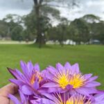 Riythvika Instagram - #srilankbeauty #kandysrilanka #peace #workmode❤️ #peaceofmind ☮️ ✌🏻