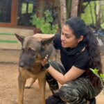 Sadha Instagram - This one is for all #charlie777 movie fans! Yet to watch… can’t wait 🤍 @penchjunglecamp #charliemovie #dog #doglover #animallover #adoptdontshop Pench Jungle Camp