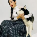 Sadha Instagram - I DO NOT SUPPORT or ENCOURAGE BUYING BREED DOGS with this post.. These moments would’ve been as special to me even if it was an Indian dog.. 🤍 For me it’s the unconditional love of any animal irrespective of its breed or species that’s special… For the couple of hours I was there @crafty_chandu studio for a photoshoot, Jon Snow showered me with all the love he had.. He made sure not to leave my side even for a min as long as I was there.. Andddd he wasn’t used for the photoshoot, rather he willingly volunteered to be a part of it.. 😀 #AdoptDontShop #animallover #unconditionallove