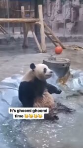 Sameera Reddy Instagram - It’s Ghoomi time ladies🥳🥳🎈 #backtoschool
