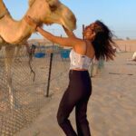 Samyuktha Hegde Instagram - The way an animal reacts to you speaks so much about the energy you give off🤍 This is the first time i met a camel (“ibil” the cutie) and the way he responded just filled my heart with soooo much happiness ❤️ HE UNDERSTOOD ME, it literally meant everything! I’m so grateful for the life I have Thank you dear god! Spreading more positivity in the world one hug at a time! #desertsafari #loveanimals #kind #smartylonglegs #camel