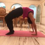 Sayyeshaa Saigal Instagram – A chakrasana is a must for #internationalyogaday 🧘🏻‍♀️

#yoga#fitness#love#healthiswealth