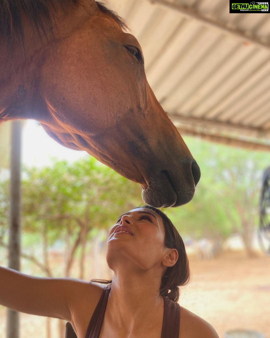 Shalini Pandey Instagram - Me and my love for animals led me to this “full of abundant love” shelter home called 🐾 The probably paradise shelter 🐾 in Karjat(Maharashtra). There I met Roxanne Davur. A solid woman with such solid compassion for animals that it overrules her own existence. I request you all to please help this institution by donating whatever little or more you can. Please contact @probablyparadise or @roxannedavur for your donations. Those beautiful animals need you, your support, your love. Let’s be kind & spread happiness 🤗🐾❤️ #animalrescue #animalshelter #adoptdontshop