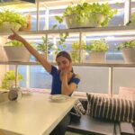Shazahn Padamsee Instagram – Basically before every cheat meal 😅