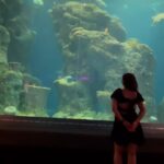 Sherin Instagram - Little shark trying to scare me 😟 #sherin #travel #aquarium #fish #love