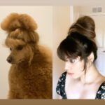 Sherin Instagram – Who wore it better? 💃 or 🐶
#sherin #dogsofinstagram #puppy #hairstyles #whoworeitbetter