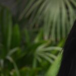 Shweta Menon Instagram -