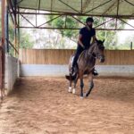 Sibi Sathyaraj Instagram – Moving on to Horsey Style! 🐎 

#horseriding #horse #horses  #horsesofinstagram #horselove #horselover #pony #showjumping #horserider #horsebackriding #newstyle #horsepower #horseofinstagram #love #riding #photooftheday #sibiraj #sibisathyaraj #actorslife