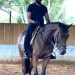 Sibi Sathyaraj Instagram - Moving on to Horsey Style! 🐎 #horseriding #horse #horses #horsesofinstagram #horselove #horselover #pony #showjumping #horserider #horsebackriding #newstyle #horsepower #horseofinstagram #love #riding #photooftheday #sibiraj #sibisathyaraj #actorslife