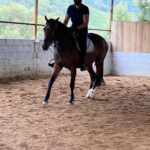 Sibi Sathyaraj Instagram – Moving on to Horsey Style! 🐎 

#horseriding #horse #horses  #horsesofinstagram #horselove #horselover #pony #showjumping #horserider #horsebackriding #newstyle #horsepower #horseofinstagram #love #riding #photooftheday #sibiraj #sibisathyaraj #actorslife