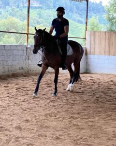 Sibi Sathyaraj Instagram - Moving on to Horsey Style! 🐎 

#horseriding #horse #horses  #horsesofinstagram #horselove #horselover #pony #showjumping #horserider #horsebackriding #newstyle #horsepower #horseofinstagram #love #riding #photooftheday #sibiraj #sibisathyaraj #actorslife