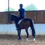 Sibi Sathyaraj Instagram - Moving on to Horsey Style! 🐎 #horseriding #horse #horses #horsesofinstagram #horselove #horselover #pony #showjumping #horserider #horsebackriding #newstyle #horsepower #horseofinstagram #love #riding #photooftheday #sibiraj #sibisathyaraj #actorslife