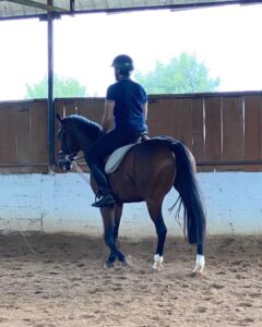 Sibi Sathyaraj Instagram - Moving on to Horsey Style! 🐎 

#horseriding #horse #horses  #horsesofinstagram #horselove #horselover #pony #showjumping #horserider #horsebackriding #newstyle #horsepower #horseofinstagram #love #riding #photooftheday #sibiraj #sibisathyaraj #actorslife