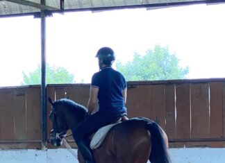 Sibi Sathyaraj Instagram - Moving on to Horsey Style! 🐎 #horseriding #horse #horses #horsesofinstagram #horselove #horselover #pony #showjumping #horserider #horsebackriding #newstyle #horsepower #horseofinstagram #love #riding #photooftheday #sibiraj #sibisathyaraj #actorslife
