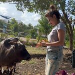 Sneha Ullal Instagram – Stop using them.Stop abusing them 
No meat
No dairy 
No leather 
No fur 
#snehaullal #vegan #crueltyfree