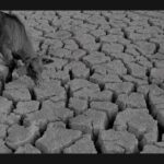 Sonia Mann Instagram - Save Water 🙏 Share nd Support 🙏 #savewater #punjab #soniamann ✍🏻 @anjalikhurana1 @_mg_visuals