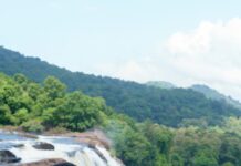 Sonu Gowda Instagram - You are not a dead fish to go with the flow, so don’t say go with the flow, even nature has it’s own flow.. You have a choice for everything, every move determines what you need what you want.. PC @arunkummar_portraits #kerala #attirapallyfalls #chalakudy #godsowncountry #nature #naturelovers #sonugowda #keralagram Athirapally Waterfall
