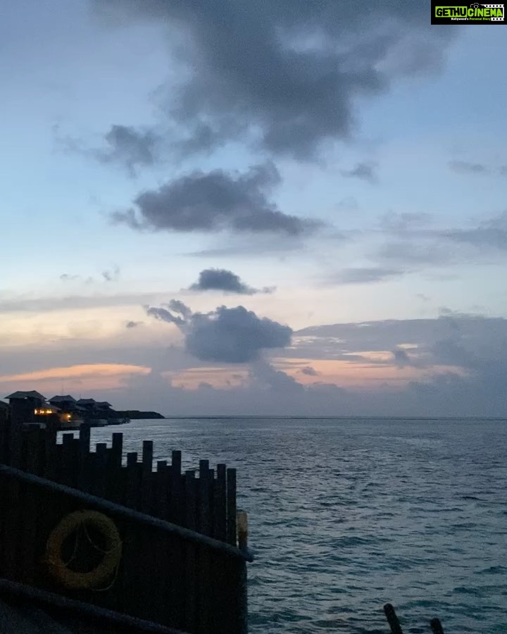 Sophie Choudry Instagram - Forever in love & in awe of the incredible ocean. May we learn to protect, respect and help save ocean and marine life๐ ๐ #worldoceansday #oceanlife #marinelife #protectnature #seaturtle #sharks #mothernature #sophiechoudry