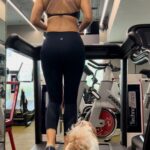 Sophie Choudry Instagram - Cutest workout partner🥰🧿🐶 #fitnessmotivation #cardioworkout #treadmill #mybaby #shihtzu #shihtzusofinstagram #sophiechoudry #saturdaymotivation #dogmom #trendingreels #trendingsongs #waitaminute