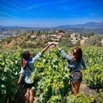 Taapsee Pannu Instagram – Bonding over grapes! 
#TapcTravels #Nice #Vineyard
P.S- very subtly showing off calf muscle also. Very subtle.