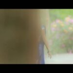 Vaishnavi Chaitanya Instagram - Abbanee tiyani cover is released😍please do watch like and share😍 Link is in my bio😍 @shannu_7 Location @thefotogarage Costume @trendyzcollection_ The Foto Garage