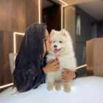Vaishnavi Chaitanya Instagram - Me : will you be my valentine 🙈❤️🌹...? @alpha__thesamoyed : yessss....my lovely love💋... . . 😂🤭 Happy valentine's day ❤️