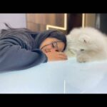 Vaishnavi Chaitanya Instagram - Me : will you be my valentine 🙈❤️🌹...? @alpha__thesamoyed : yessss....my lovely love💋... . . 😂🤭 Happy valentine's day ❤️