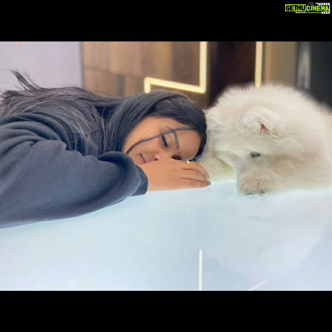 Vaishnavi Chaitanya Instagram - Me : will you be my valentine 🙈❤️🌹...? @alpha__thesamoyed : yessss....my lovely love💋... . . 😂🤭 Happy valentine's day ❤️