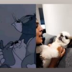 Varalaxmi Sarathkumar Instagram - My favorite cartoons #tomandjerry Jestttt be jolly... #wednesdayvibes #wednesday #trending #trendingnow #trendingreels #lovemybaby #guccivaralaxmi #love #laughteristhebestmedicine #dogstagram #doglover #puppy Hyderabad