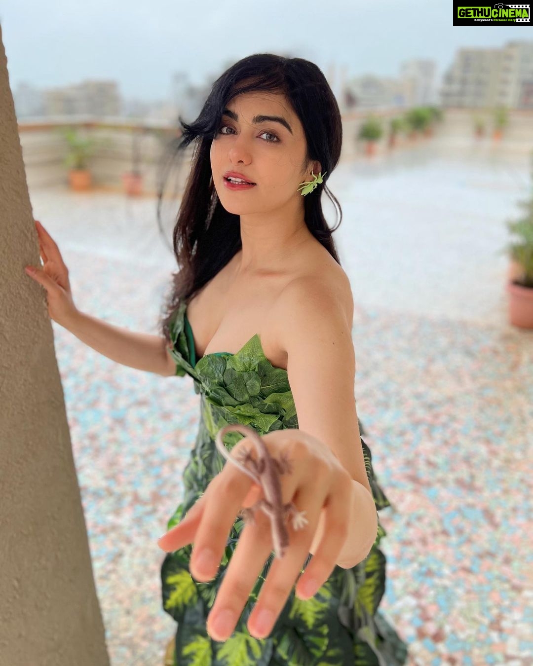 Adah Sharma Instagram - Mujhe kuch nahi patta 🥬🍃☘️🍀 leaf pics on public demand 🤓 . . . #100YearsOfAdahSharma #adahsharma P.S. have u eaten your vegetables today 😎