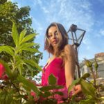 Aditi Arya Instagram - Build strong roots and tend to yourself . . . . . (rosy red) Massachusetts