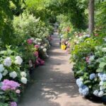 Aditi Chengappa Instagram - Heaven on earth🌺🌻🌷🌸 Thank you @fuinebear for this joy🪴 . . . . #peaceful #naturereels #gardens #botanical #flowers #floraldesign #berlin #reels #hydrangeas #relax #meditation #meditate Steglitz, Berlin, Germany