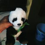 Aishwarya Lekshmi Instagram – @jungli_jawani panda boo needs to go to loo  #mywayofthankingherforallshedidyesterday @susanjoseph Thanguuu