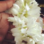 Aishwarya Lekshmi Instagram – Mallipoo 😘😘😘😘 #chennailove